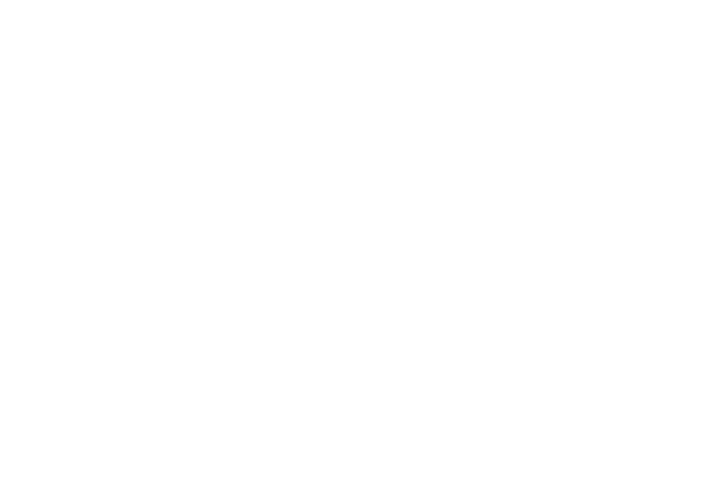 NZ Sotheby's